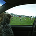 Judy Riley Photo 45