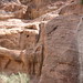 Petra Leon Photo 14