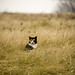 Jocelyn Sharp Photo 7