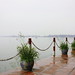 Thang Ho Photo 27