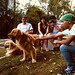 Jose Botelho Photo 5