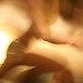 Tracy Curran Photo 19