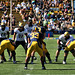 Ray Polk Photo 27