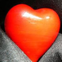 Gerardo Arteaga Photo 17
