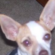 Brenda Rowe Photo 14