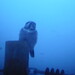 Clinton Hawks Photo 8