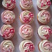 Angeline Rose Photo 14
