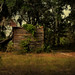 Michael Mccall Photo 28