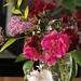 Denise Friend Photo 23