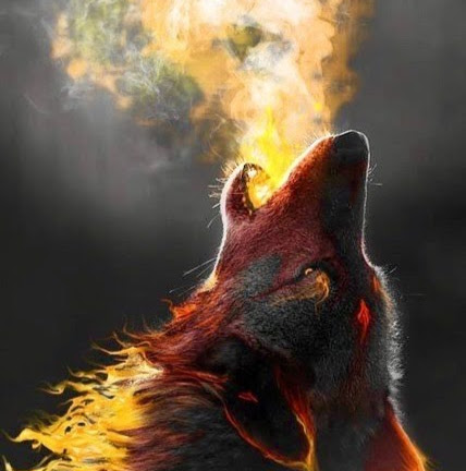 Joseph Wolf Photo 22