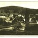 Judy Paddock Photo 11