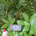 Ann Howie Photo 28