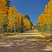 Jacob Muir Photo 11