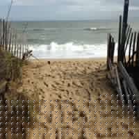 Debbie Butner Photo 4