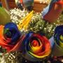 Janice Johns Photo 38