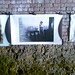Deborah Powers Photo 23