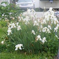 Sharon Keegan Photo 23