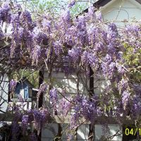 Mary Unruh Photo 11