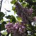Deborah Morel Photo 15