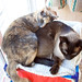 Julie Hopper Photo 23
