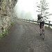 Roland Moll Photo 6