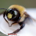 Heather Houk Photo 15