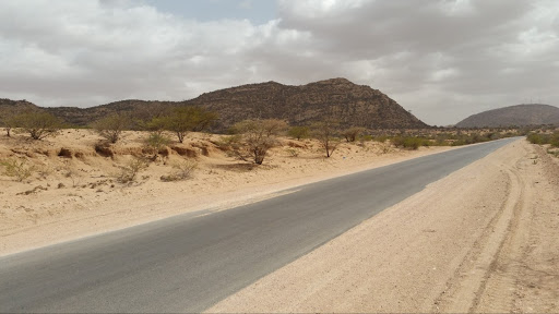 Mohammed Elmi Photo 2