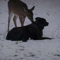 Brenda Burt Photo 22