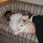 Kimberly Huber Photo 10