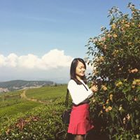 Phung Nguyen Photo 20
