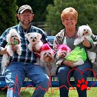 Donna Parks Photo 8