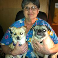 Judy Thibault Photo 5
