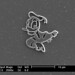 Donald Small Photo 15