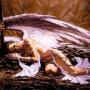 Jeannette Parker Photo 24