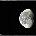 Andrea Luna Photo 33