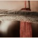 Dawn Dering Photo 3