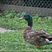 Donald Francois Photo 17