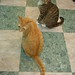 Jacky Lin Photo 15