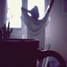 Clara Robles Photo 17