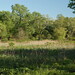 Ernest Meadows Photo 7