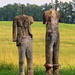 Daniel Heard Photo 34
