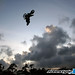 Gary Talbot Photo 28