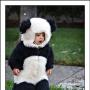 Thien Nguyen Photo 46