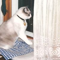 Nancy Halvorson Photo 9