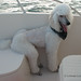 Jake Click Photo 11