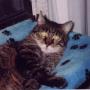Sherrill Robinson Photo 16