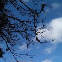 Christine Hoagland Photo 9
