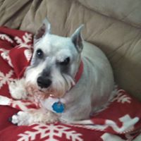 Dorothy Sims Photo 19