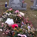 Nancy Vecchio Photo 24