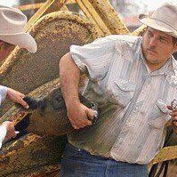 Glen Arnold Photo 27